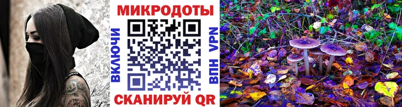 Галлюциногенные грибы мицелий hydra как зайти Дорогобуж где купить